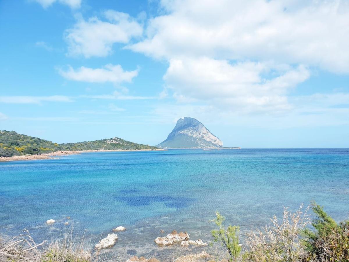Pinelopi * Olbia