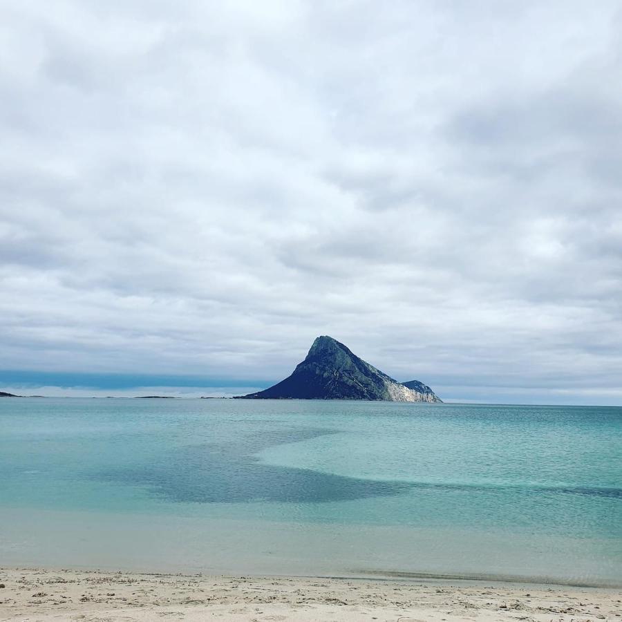 Pinelopi * Olbia